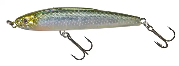 HL Minnow