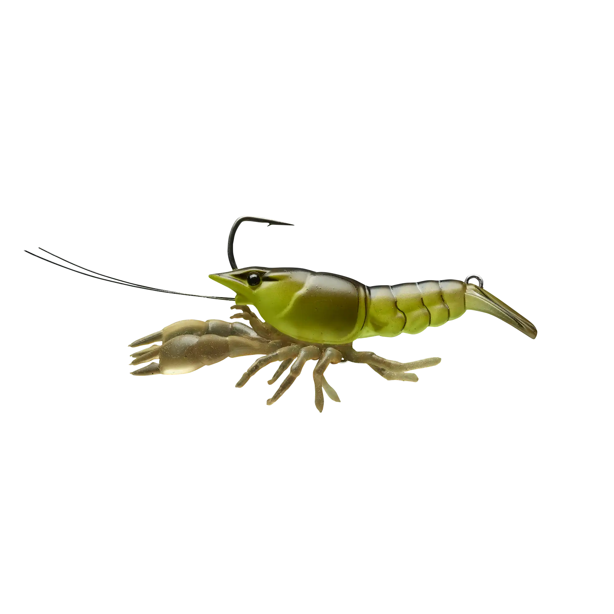 Chartreuse Black