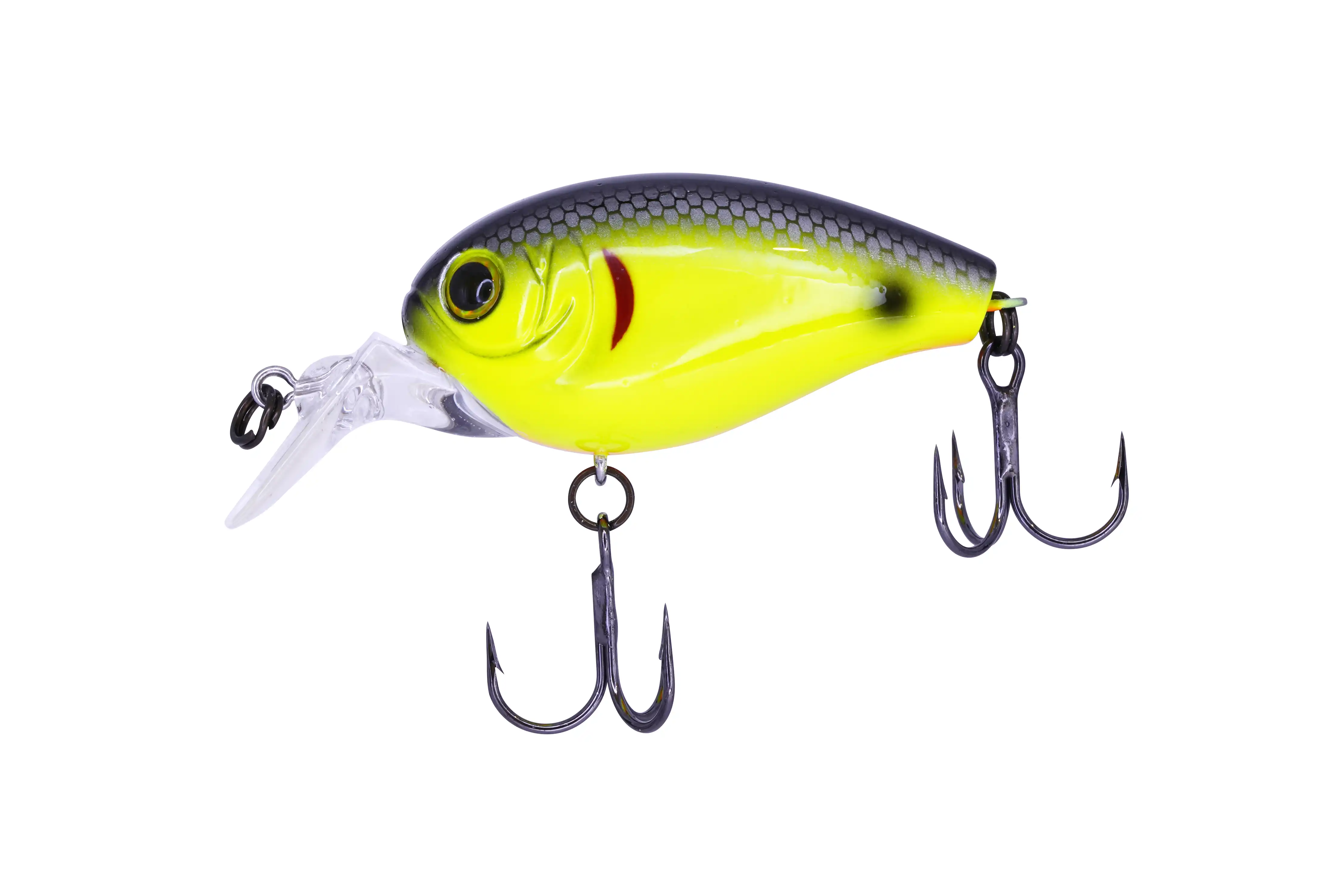 #09 Black Back Chart